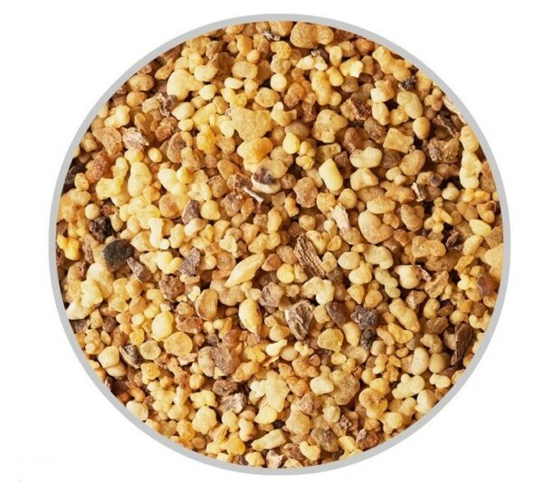 Frankincense boite de 10 g d'encens grains concassés